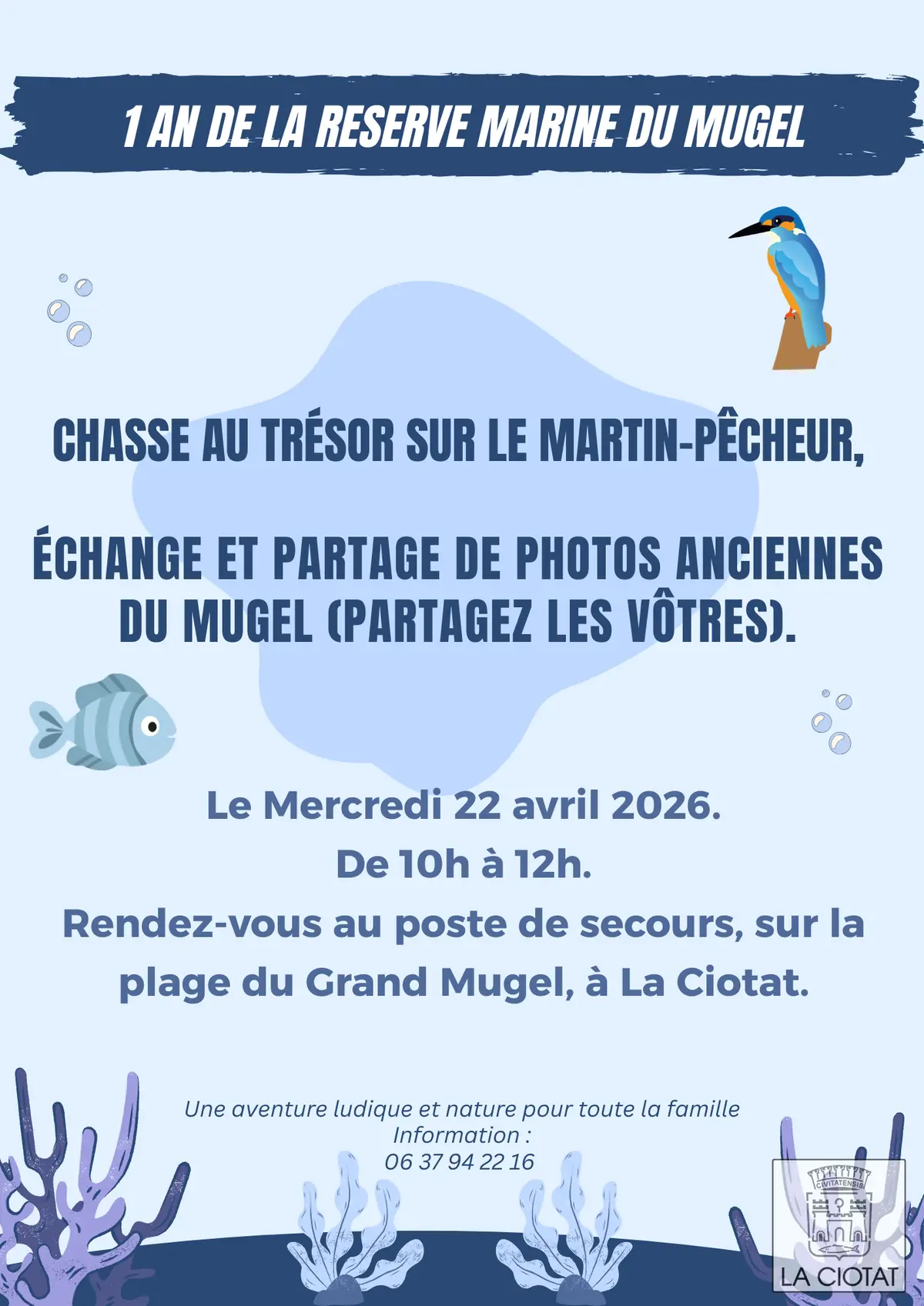 Chasse au trésor sur le martin pêcheur