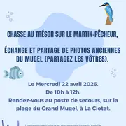 Chasse au trésor sur le martin pêcheur