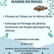 Chasse au trésor sur le mérou brun