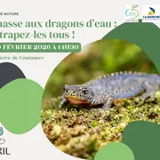 Chasse aux dragons d'eau : attrapez-les tous !