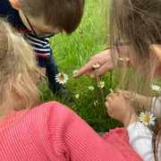 Chasse aux insectes au Jardin «bourdonnant»