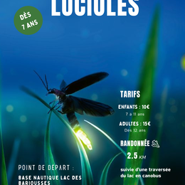 Chasse aux Lucioles