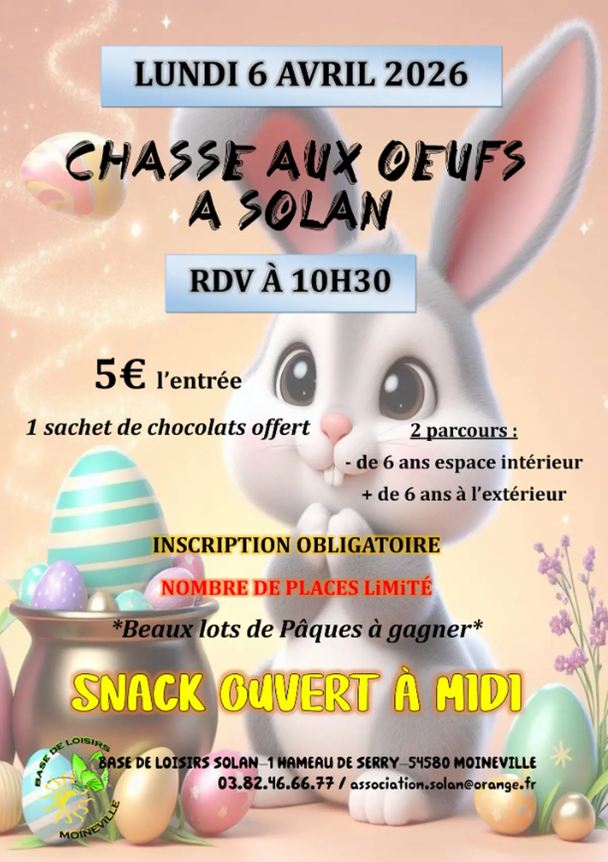Chasse aux oeufs