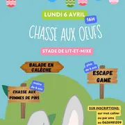 Chasse aux oeufs