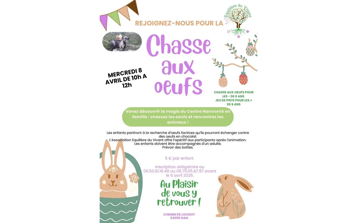 Chasse aux oeufs