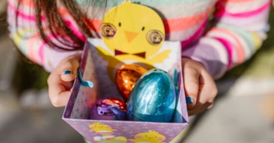 Top 5 des id&eacute;es sorties pour ce week-end &agrave; Amiens (du 24 au 26 avril 2026)