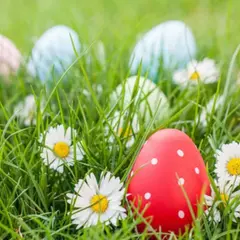 Chasse aux oeufs à la Cueillette de Torfou (91)