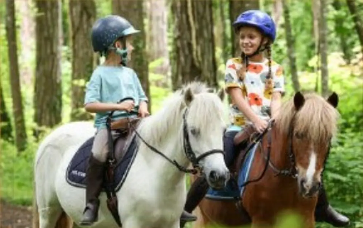 Chasse aux oeufs à poney avec Les Paladins de Saint-Agnan