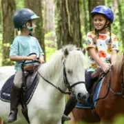 Chasse aux oeufs à poney avec Les Paladins de Saint-Agnan