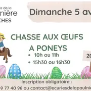 Chasse aux oeufs à poneys