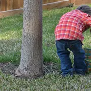Chasse aux oeufs de Pâques