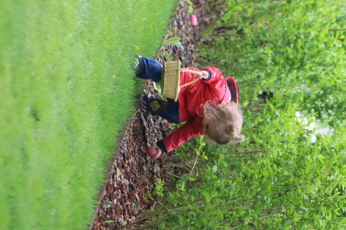 Chasse aux oeufs de Pâques