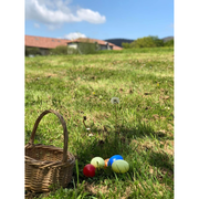 Chasse aux oeufs de Pâques