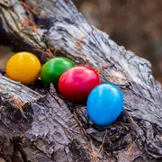 Chasse aux oeufs de Pâques