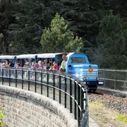 Chasse Aux Oeufs Du Train De L'Andorge En Cévennes