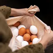 Chasse aux oeufs pour les grands