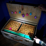 Chasse aux os… de Pâques au musée de l'Homme