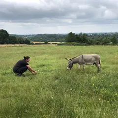 Chasse aux trésors