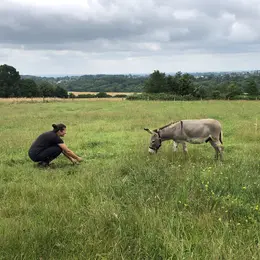 Chasse aux trésors