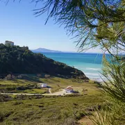 Chasse aux trésors botaniques de la lande littorale à Erretegia - CPIE Littoral basque