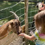 Chasse aux Trésors de Printemps