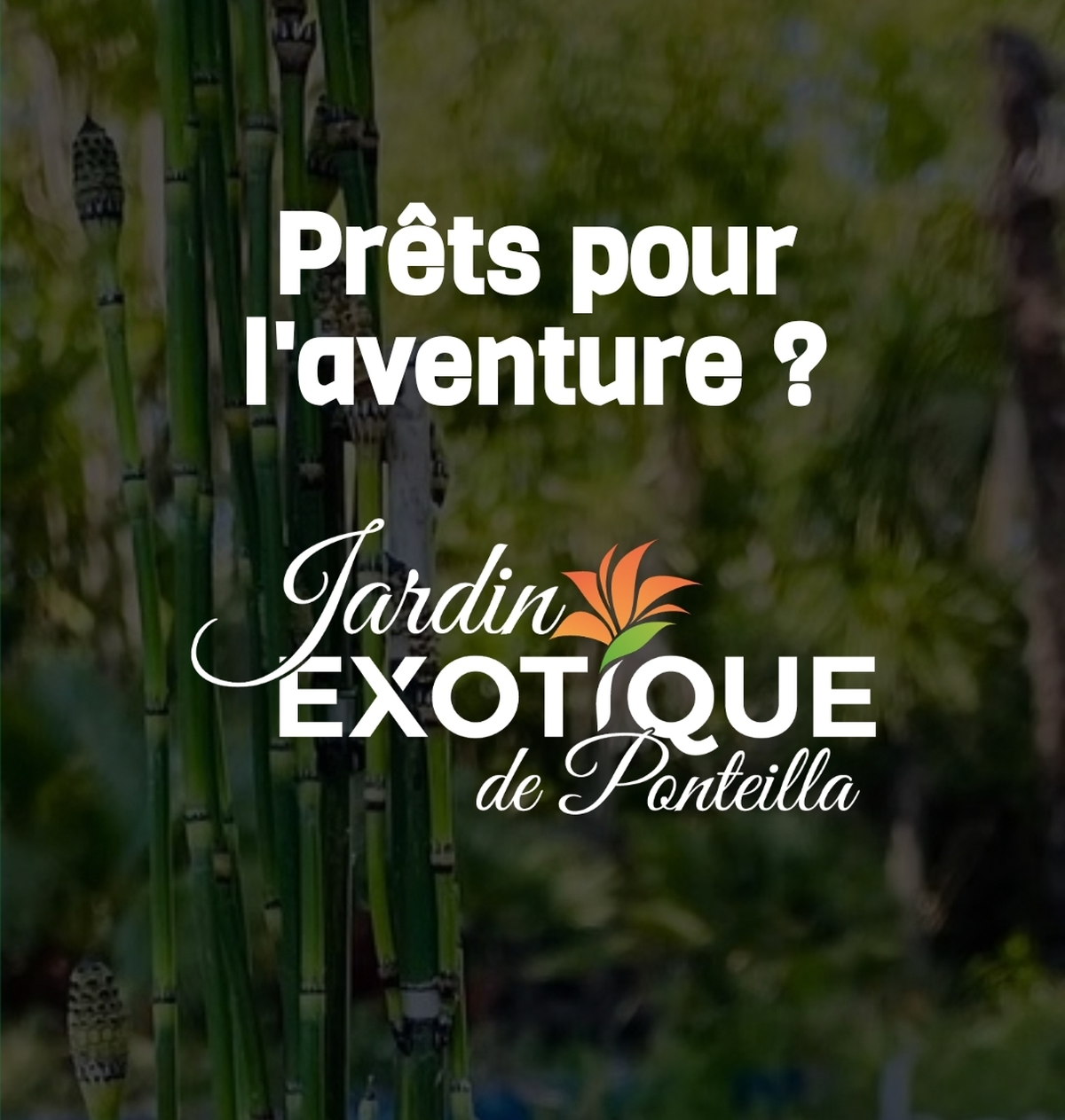 Chasse Aux Trésors Pâques Au Jardin Exotique De Ponteilla
