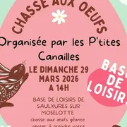 Chasse aux œufs