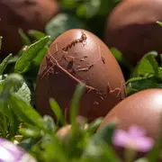 Chasse aux œufs chez Mendi