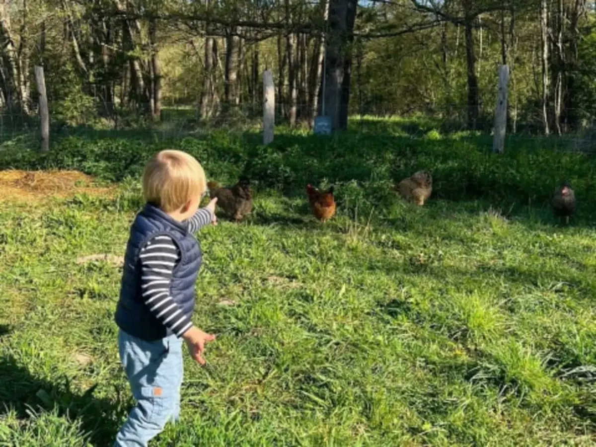 Chasse aux œufs de Pâques aux Clés de la Ferme à Chevannes