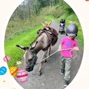 Chasse aux œufs de Pâques avec les Ânes Voyageurs