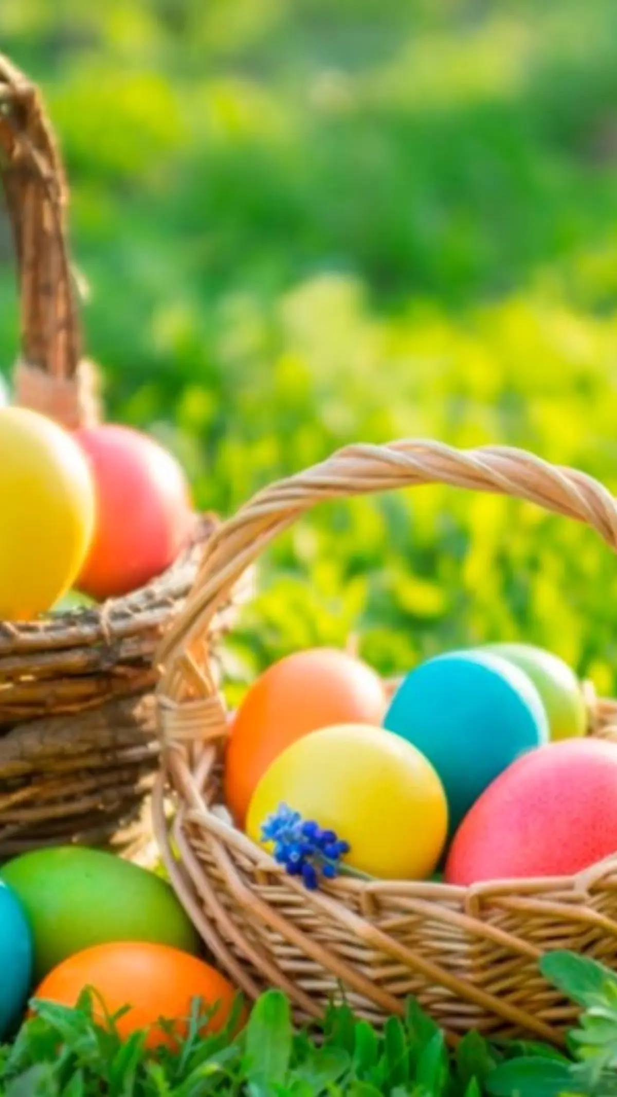 Chasse aux œufs du CIQ