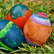 Chasse aux vrais oeufs