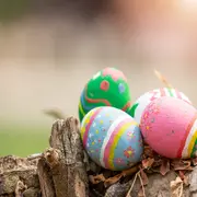 Chasses aux oeufs de Pâques