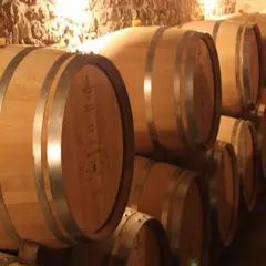 Château Bélingard | Les accords de Bélingard