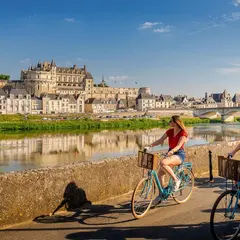 Château d'Amboise: Billet coupe-file