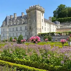 Château d'Azay-le-Rideau et jardins de Villandry : Excursion guidée au départ de Tours