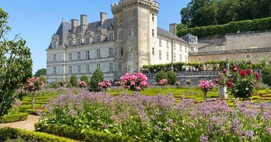 Ch&acirc;teau d'Azay-le-Rideau et jardins de Villandry : Excursion guid&eacute;e au d&eacute;part de Tours