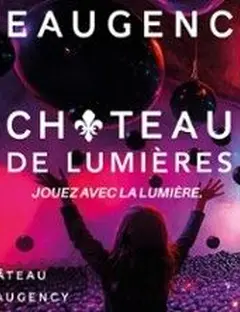 Château de Beaugency