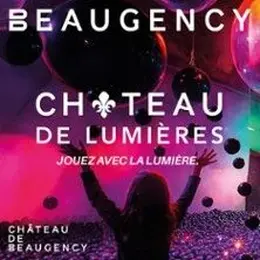 Château de Beaugency