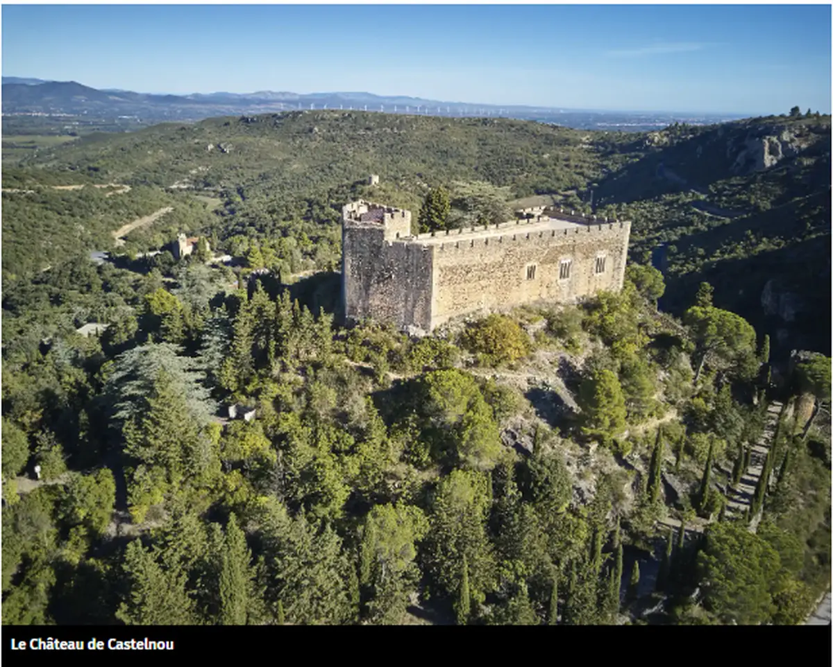 Ch&acirc;teau De Castelnou