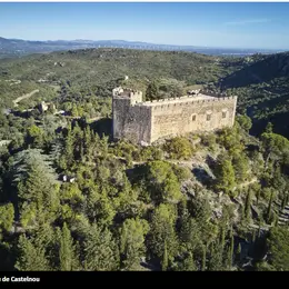Château De Castelnou