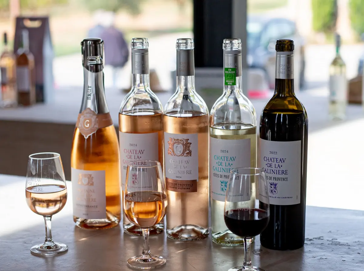Château de la Galinière - Immersion vignes et vins