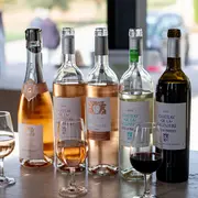 Château de la Galinière - Immersion vignes et vins