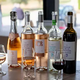 Château de la Galinière - Immersion vignes et vins