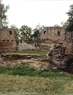 Château de la Lutzenhardt