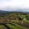 La vue sur la forêt dense des Vosges du Nord &copy; AS