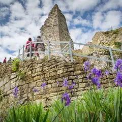 Château de Montfaucon (ruines)