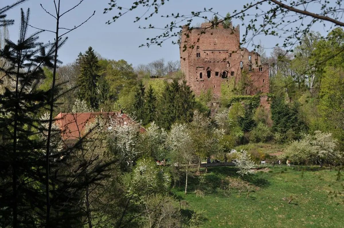 Le château et sa façade incroyablement conservée 