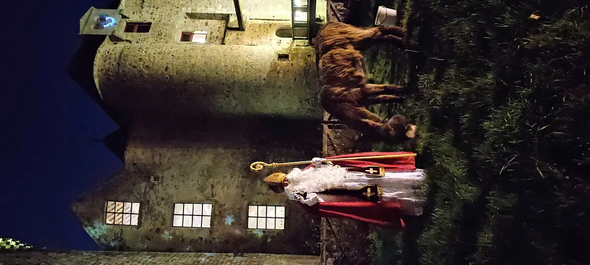 Château de Saint Mesmin - Saint Nicolas