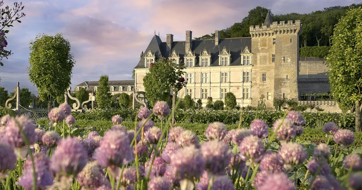 Un grand château avec une tour en arrière-plan, encadré par un jardin de fleurs violettes sous un ciel partiellement nuageux.